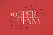 Type Monster - Elegant Font + Extras, a Serif Font by VP Fonts (Thumbnail 14 of 15)