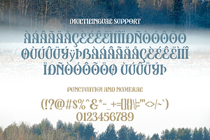 Drivez - New Modern Serif Typeface