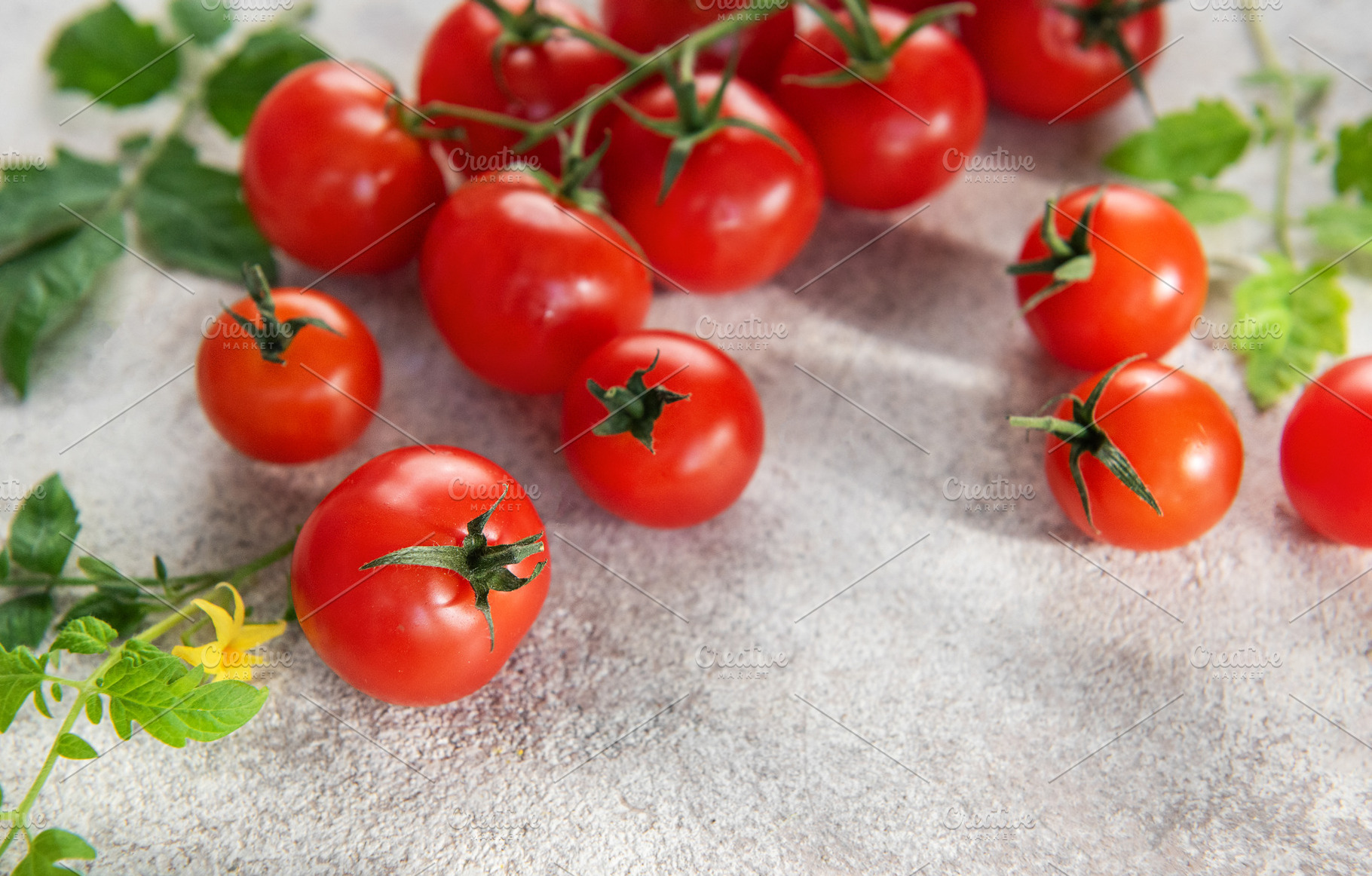 Fresh cherry tomatoes on vine with green leaves, a Food & Drink Photo by Olena Rudo
