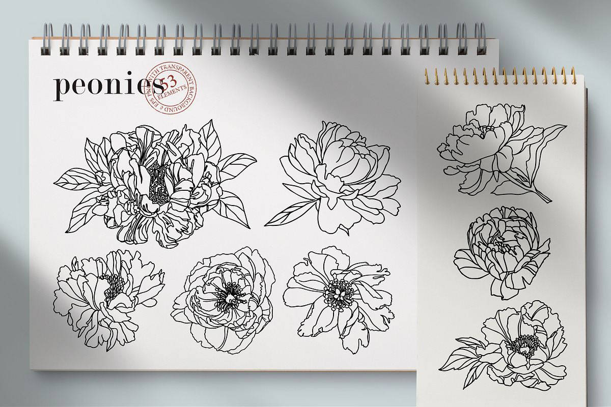 Flowers Line Hand Drawn, a Decorative Illustration by LanaDzi (Photo 4 of 10)