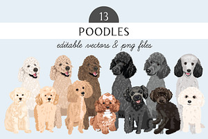 Poodle Clip Art Vector Bundle
