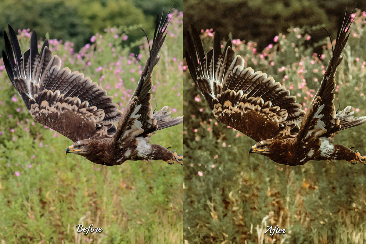 30 Countryside Lightroom Bundle, a Preset Add-On by 3Motional (Photo 3 of 11)