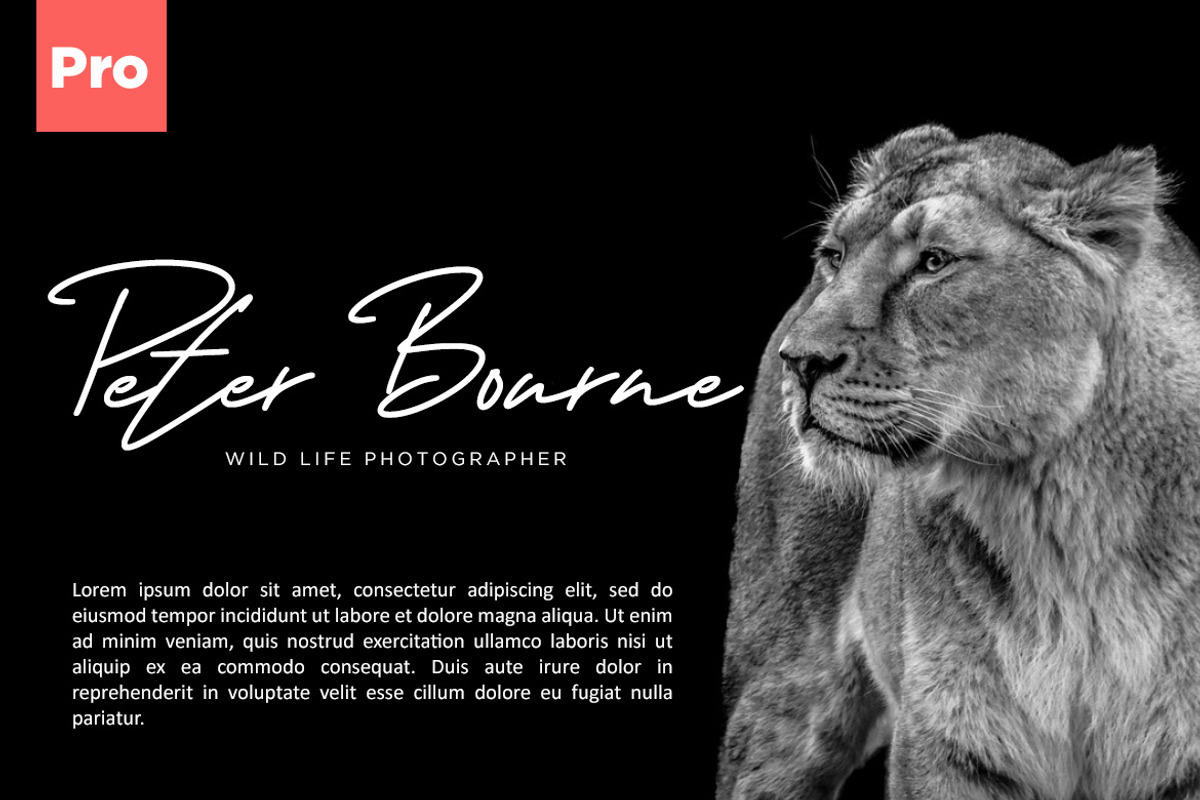 George Signature Wedding Font preview 3