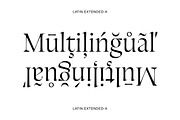 Silene - Elegant Serif Typeface, a Serif Font by Piotr Łapa (Thumbnail 8 of 12)