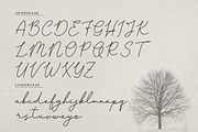 Pasttemy | Monoline Stylish Script, a Script Font by Denustudios (Thumbnail 11 of 15)