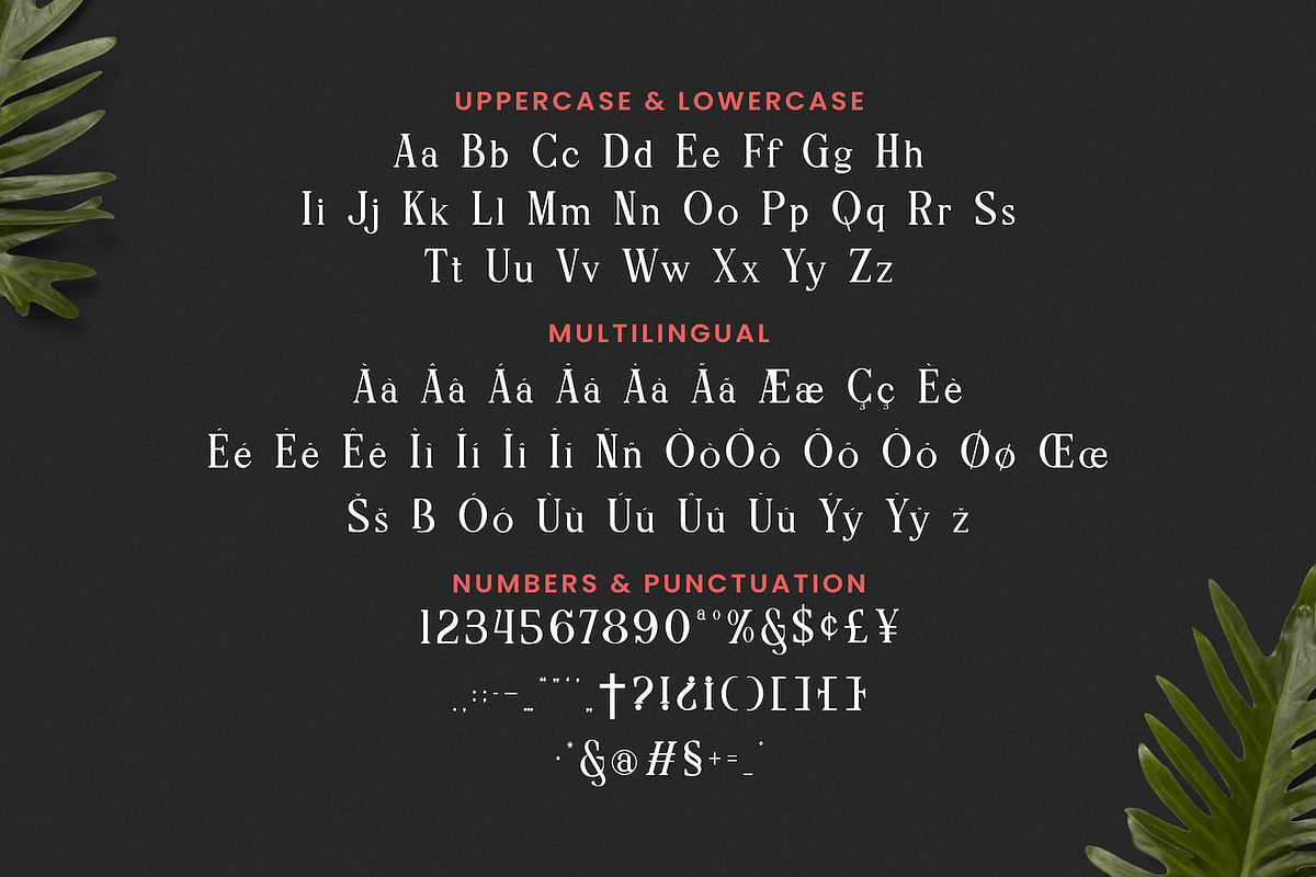 Reberry Font, a Script Font by Runsell Studio (Photo 5 of 5)