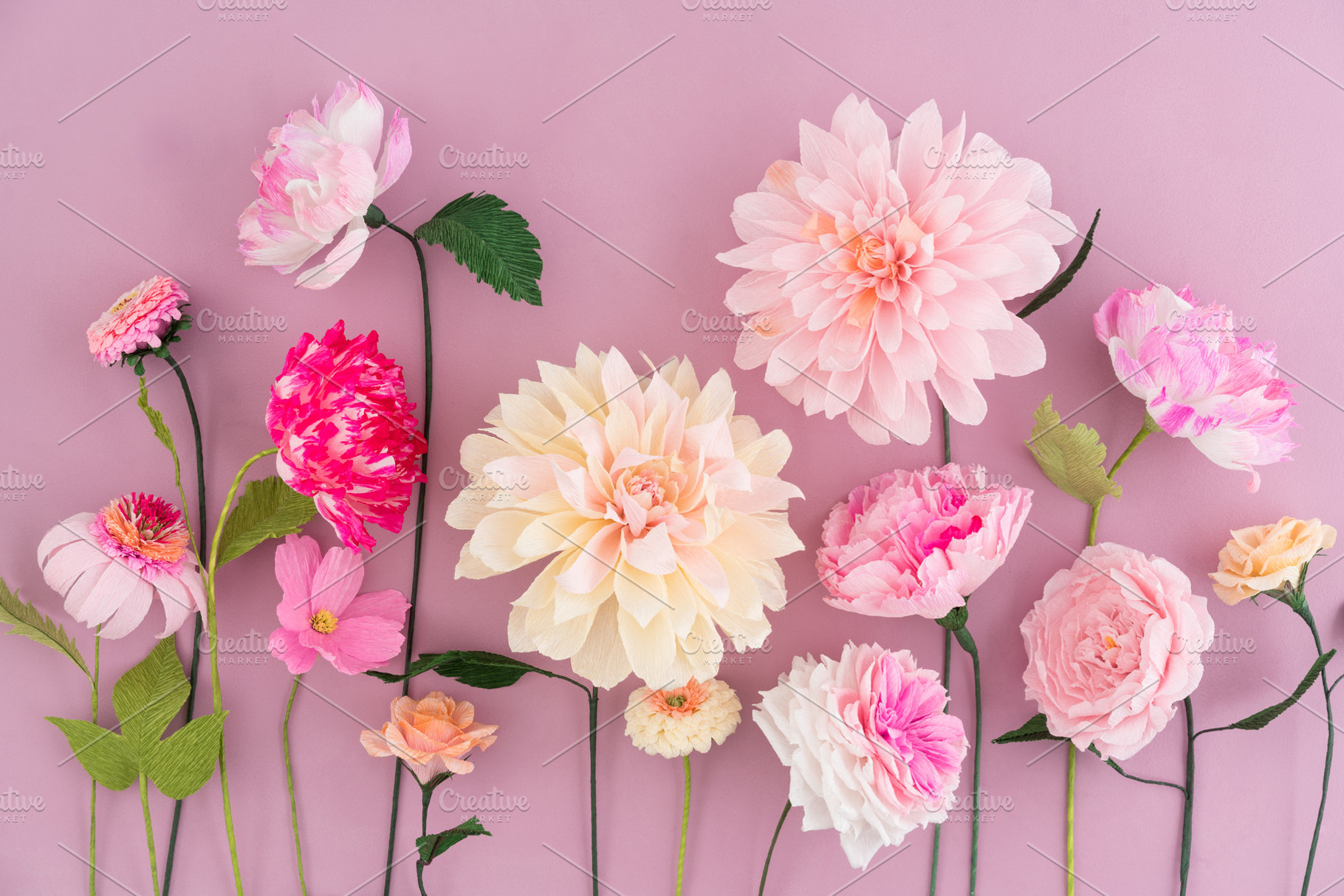 Crepe paper flowers stock photo containing paper flowers and zinnia, a Nature Photo by Elisabeth Cölfen