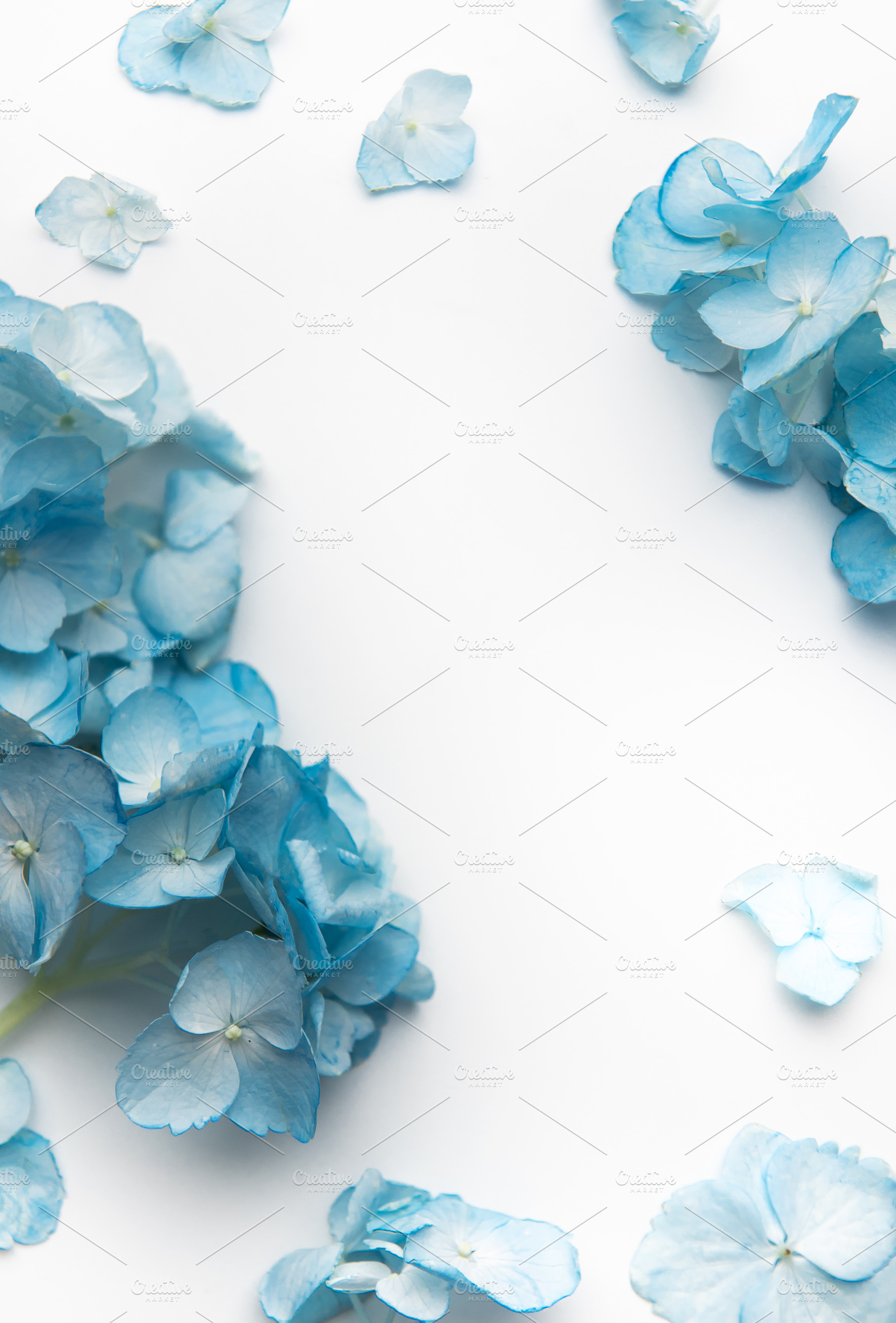 Blue hydrangea petals creating a natural floral frame, a Background Photo by Olena Rudo
