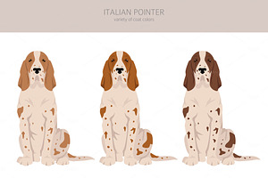 Italian Pointer Clipart