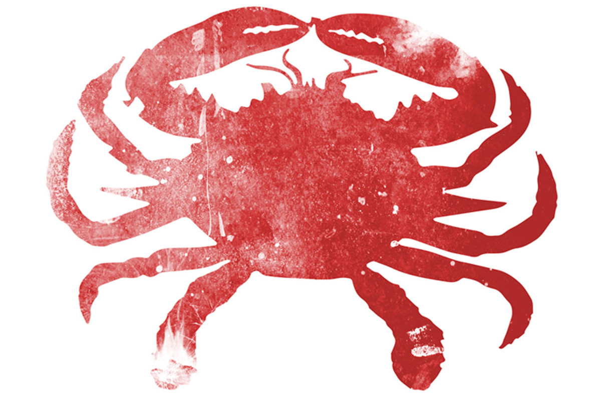 Just a Little Crabby Illustration, an Animal Illustration by Digital Art Downloads (Photo 3 of 3)