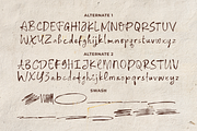 Billbrown – Organic Handwritten Font, a Handwritten Font by Ainun Jinan (Thumbnail 9 of 9)