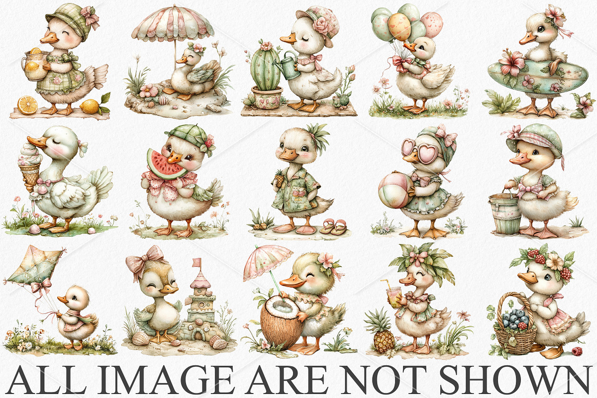 Whimsical Summer Goose Clipart PNG, a Seasonal Illustration by Canvas Craft (Photo 3 of 7)