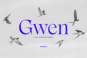 Gwen, a Serif Font by Fontfabric (Thumbnail 1 of 4)