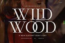 Wild Wood Minimal Serif Font