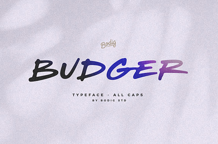 Budger Font, a Font by BodigStd