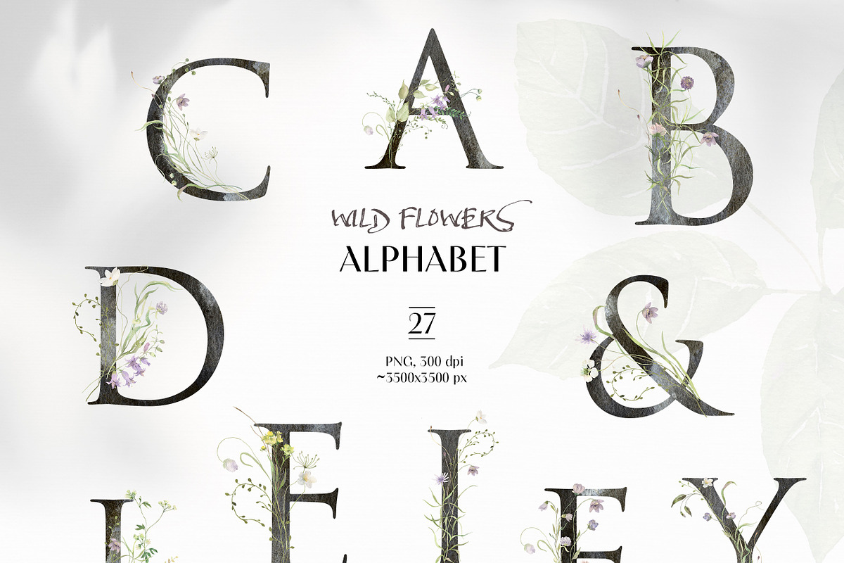 FIELD SYMPHONY- Flowers Collection, a Decorative Illustration by Les Frolova (Photo 13 of 18)