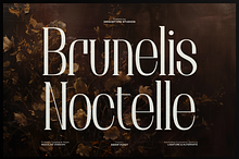 Brunelis Noctelle Display Serif Font