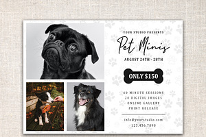 PET Mini Session Template