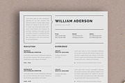 Google docs Resume Template, a Resume Template by Alice_s (Thumbnail 5 of 6)