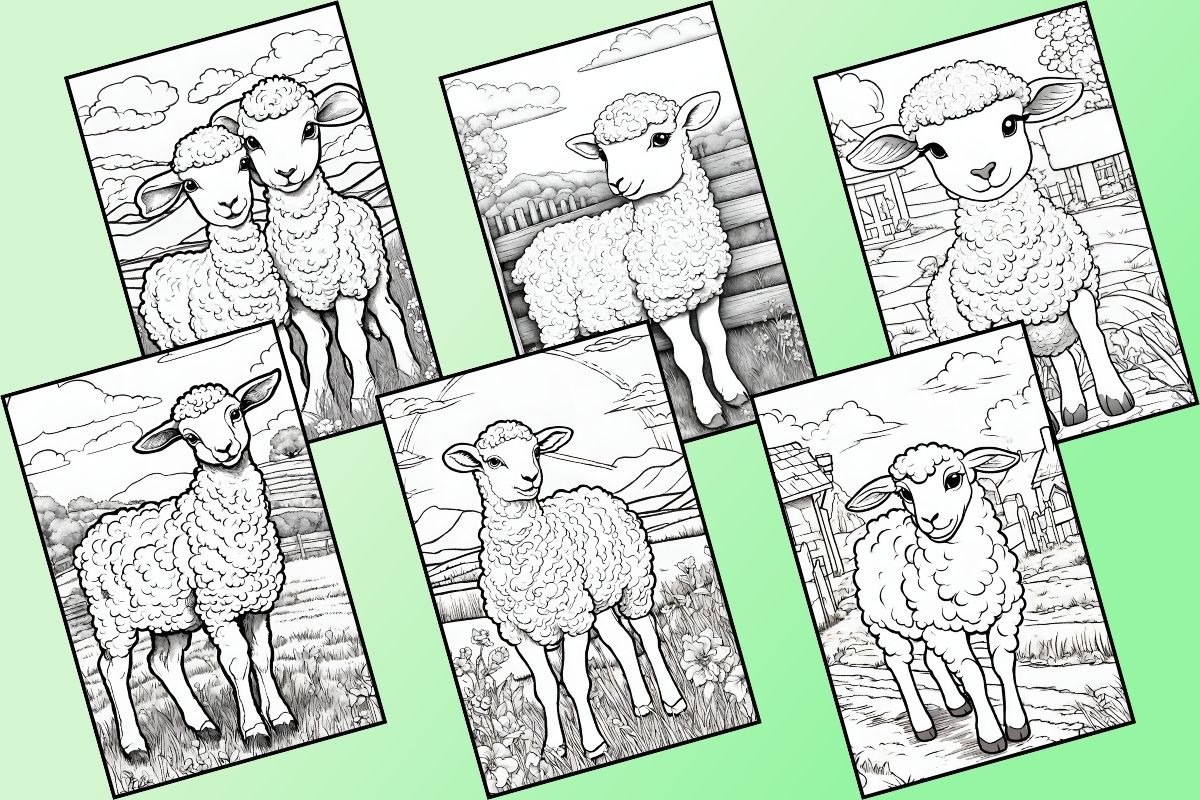 Cute Lamb Coloring Pages, an Animal Illustration by Catchy Ideaz (Photo 3 of 3)