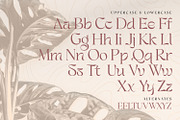 Bestagrach - Unique Ligatures Serif, a Serif Font by Mokatype Studio (Thumbnail 8 of 10)