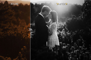 PORTRAIT MAGIC Lightroom Presets