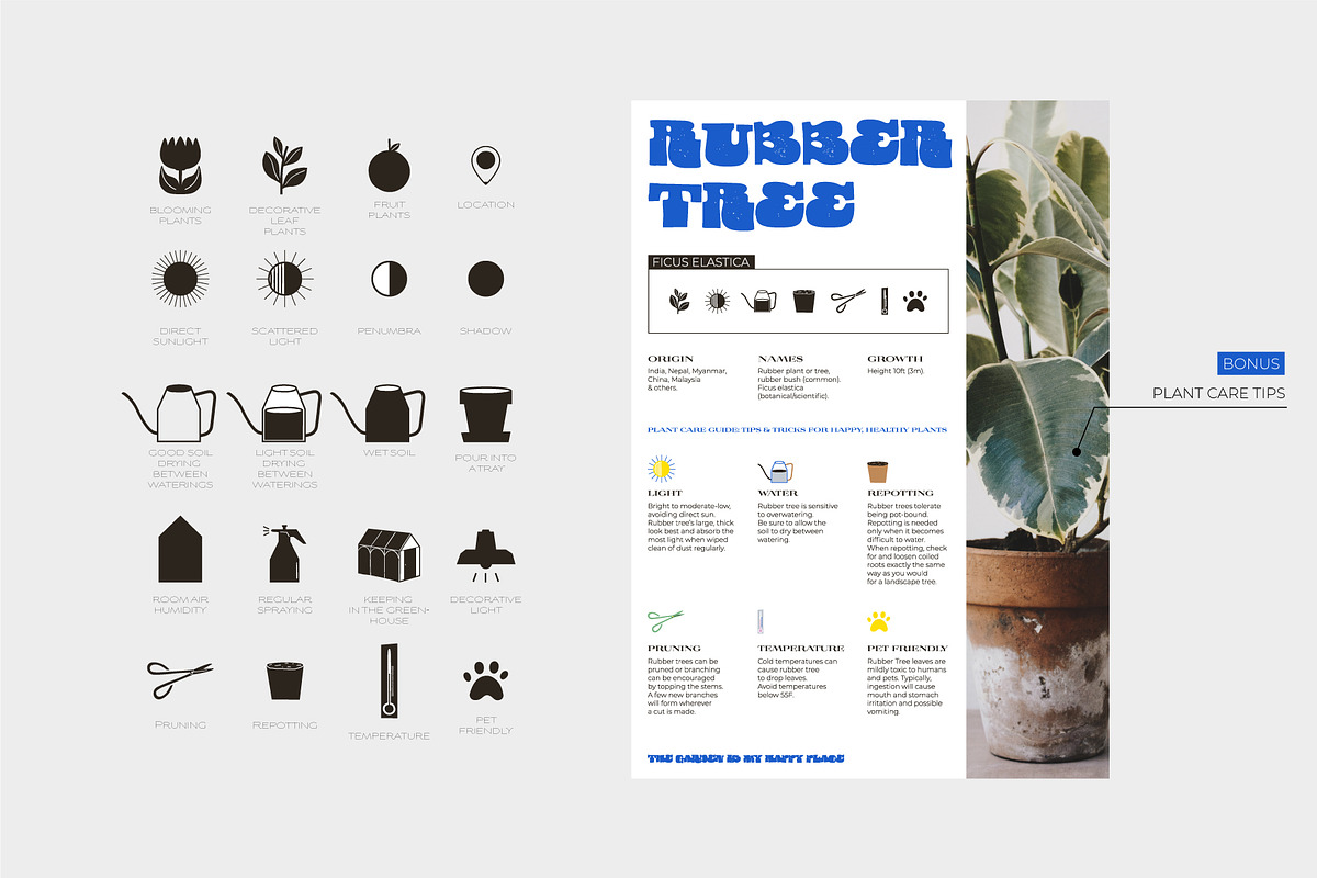 Seasonal Botany BUNDLE, an Object Graphic by Ruslana Lubenets (Photo 79 of 100)