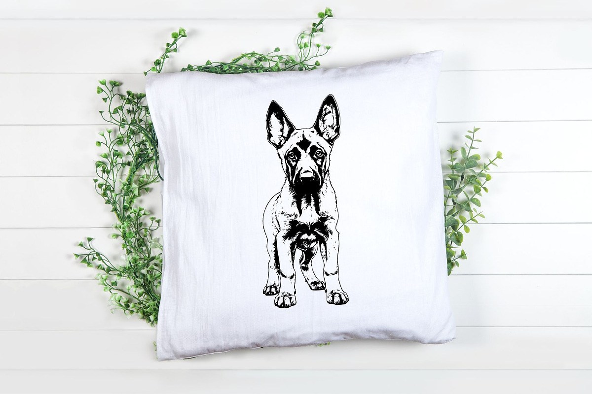 Belgian Malinois SVG - Dog Clip Art, an Illustration by YouniqueArtwork (Photo 5 of 5)
