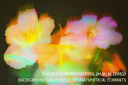 Mystic Haze: Floral Blur Backgrounds, a Background Graphic by Anzhelika (Thumbnail 3 of 12)
