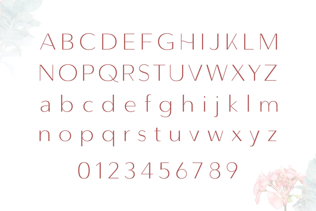 Lunates Font Family – Sans Serif, a Sans Serif Font by RC graphics (Photo 2 of 9)
