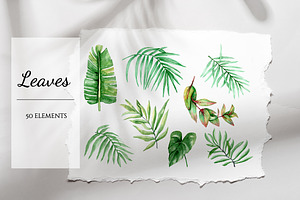 Watercolor Leaves Set