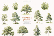 Woodland Friends, an Animal Illustration by PeDe Designs (Thumbnail 6 of 8)