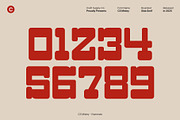 CS Misley – Slab Serif Font, a Slab Serif Font by Craft Supply Co. (Thumbnail 5 of 8)