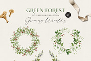 GREEN FOREST watercolor collection, an Object Illustration by long summer (Thumbnail 11 of 17)