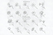Procreate One Line Flowers, a Brush Add-On by DiBrush Studio (Thumbnail 4 of 4)