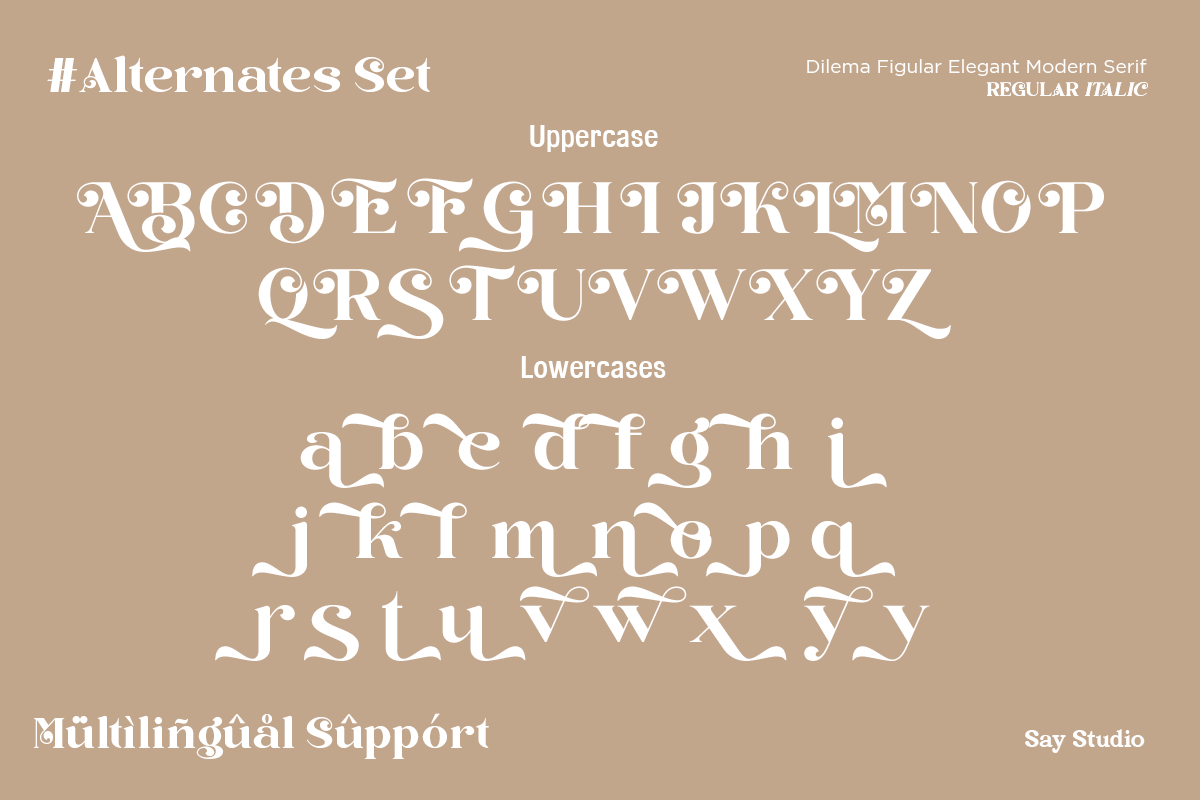 Dilema Figular - Elegant Modern Font, a Serif Font by Say Studio (Photo 11 of 11)