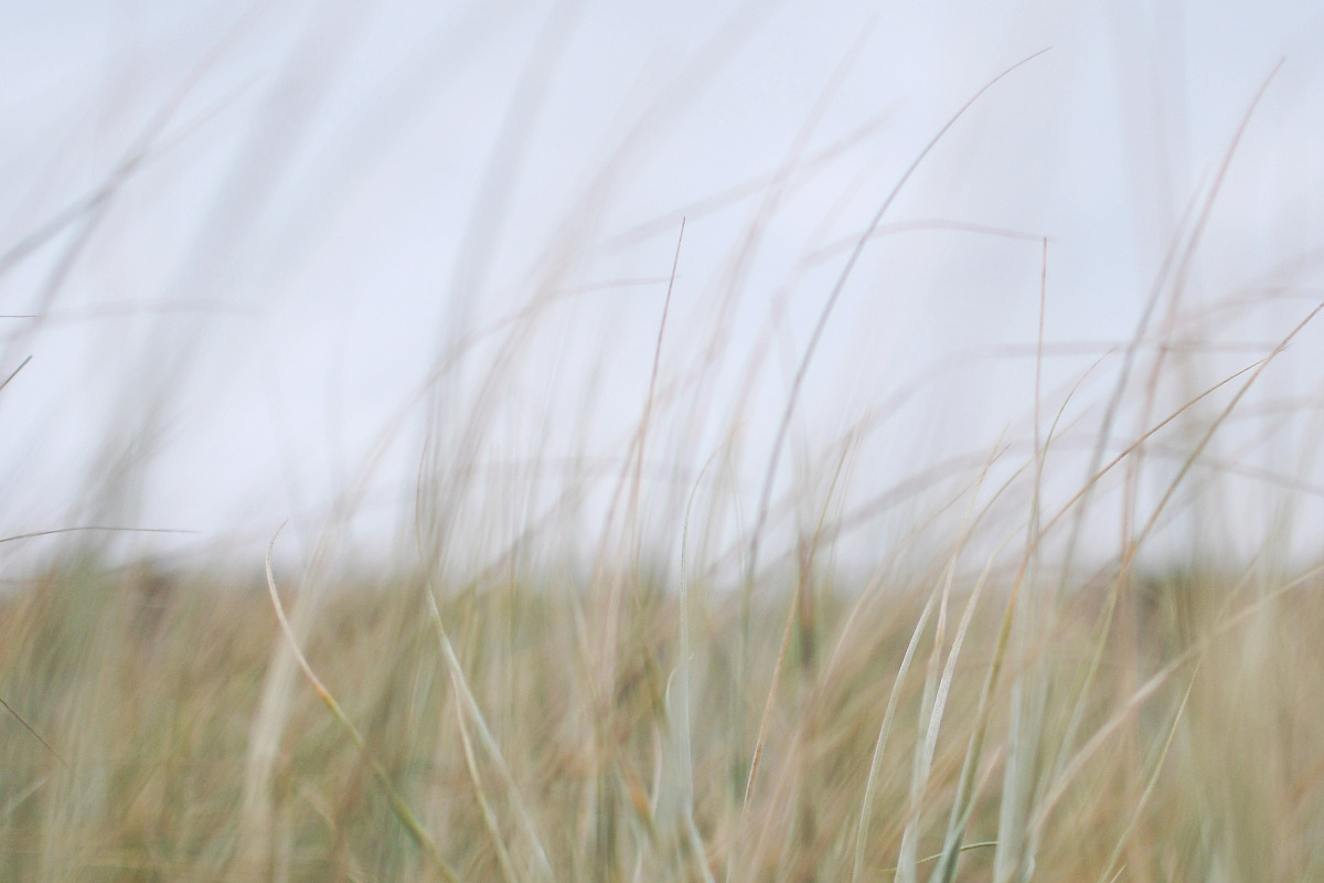Beach Stock Photo Collection, a Nature Photo by Dee Andreoli Photography (Photo 6 of 7)