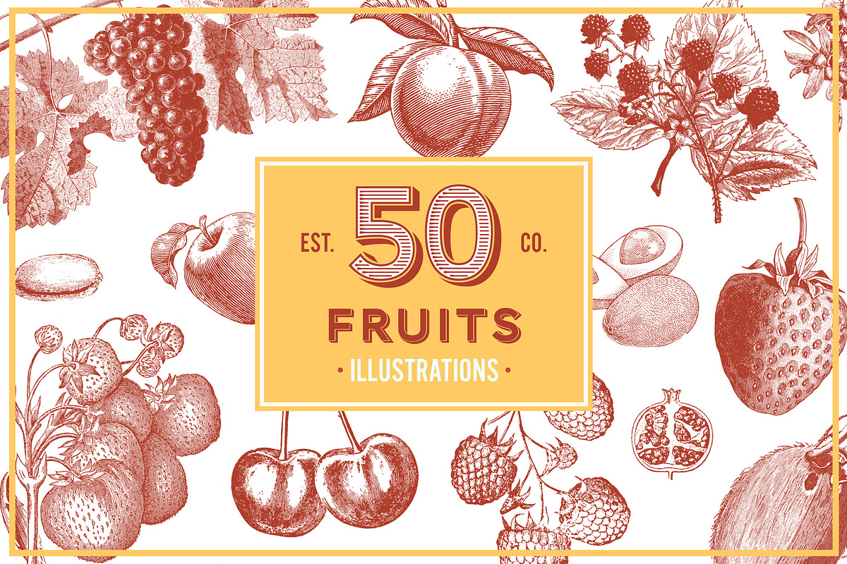 Fruits Vintage Illustrations, an Illustration by hypegraphic (Photo 1 of 4)