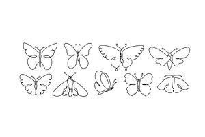 Butterfly Art In Continuous Line