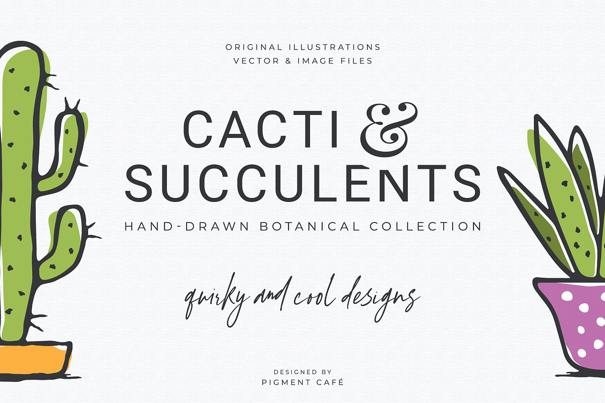 Cacti & Succulents Graphics Bundle, a Decorative Illustration by Pigment Café (Photo 6 of 7)
