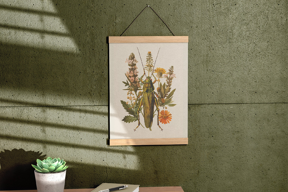 Insects | Vintage posters, a Graphic by katieromanoff_art (Photo 5 of 12)