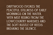 Driftwood, a Serif Font by Chelsea Burkett (Thumbnail 3 of 6)