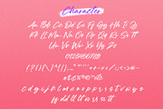 Ventalince - Handwritten Brush Font, a Handwritten Font by Myn Type (Thumbnail 13 of 15)