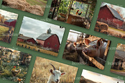 50 Farm Life Stock Photos, an Animal Photo by Incomelion (Thumbnail 5 of 9)