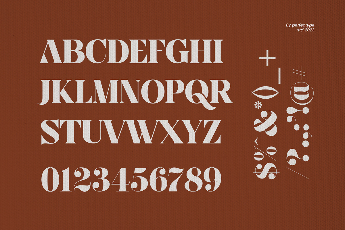Sakez Elegant Serif Font Typeface, a Serif Font by Perfectype (Photo 7 of 7)