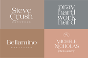 Fragile Chique Serif Font, a Serif Font by zeenesia (Thumbnail 2 of 15)