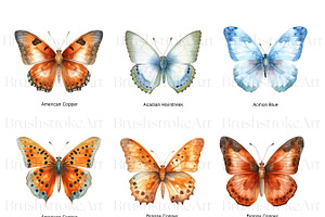 Gossamer Butterflies Clipart, Wings