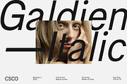 Galdien – Modern Sans Serif, a Sans Serif Font by Craft Supply Co. (Thumbnail 5 of 8)