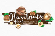 Hazelnuts Watercolors Illustration, an Illustration by andypray (Thumbnail 1 of 5)
