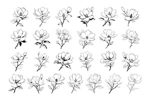 50 Magnolia Procreate Stamps Brushes